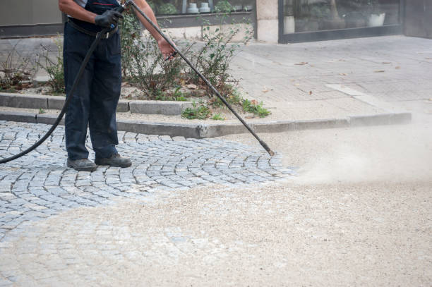 Best Roof Cleaning and Mildew Removal in Breezy Point, MN